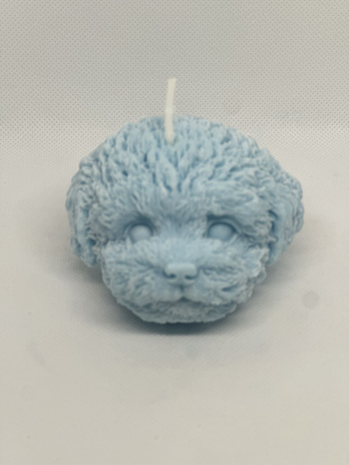 Tropical Nightfall Puppy Candle