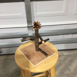 Parakeet Stand