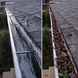 Gutter Guard Cleaning .,.