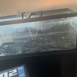 100 Gallon Fish Tank With Accessories 