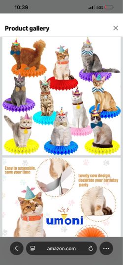 New Cat centerpieces