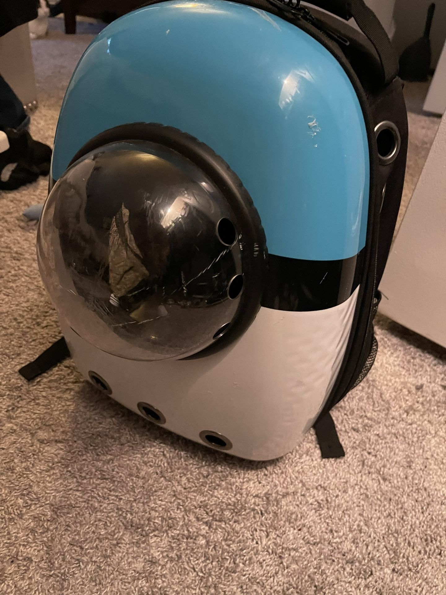 Cat Backpack