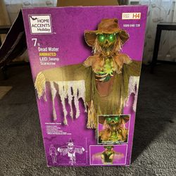 Swamp Scarecrow 