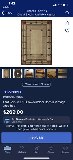 Area rug (needs a deep Cleaning)