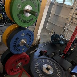 Home Gym/ Workout Equipment 