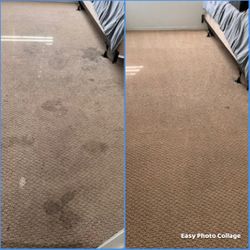 Professional Carpet Cleaner 