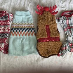 Dog clothes 