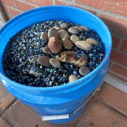 Fish Tank Pebbles 