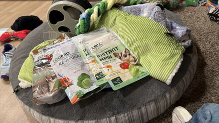 Sugar glider bundle