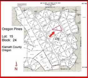 Oregon Pines 1.5 Acres