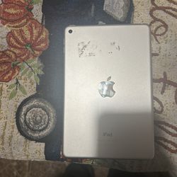 iPad Mini Gen 4)(NO REFUNDS!!!!)
