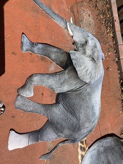 Safari Animal Cut Outs