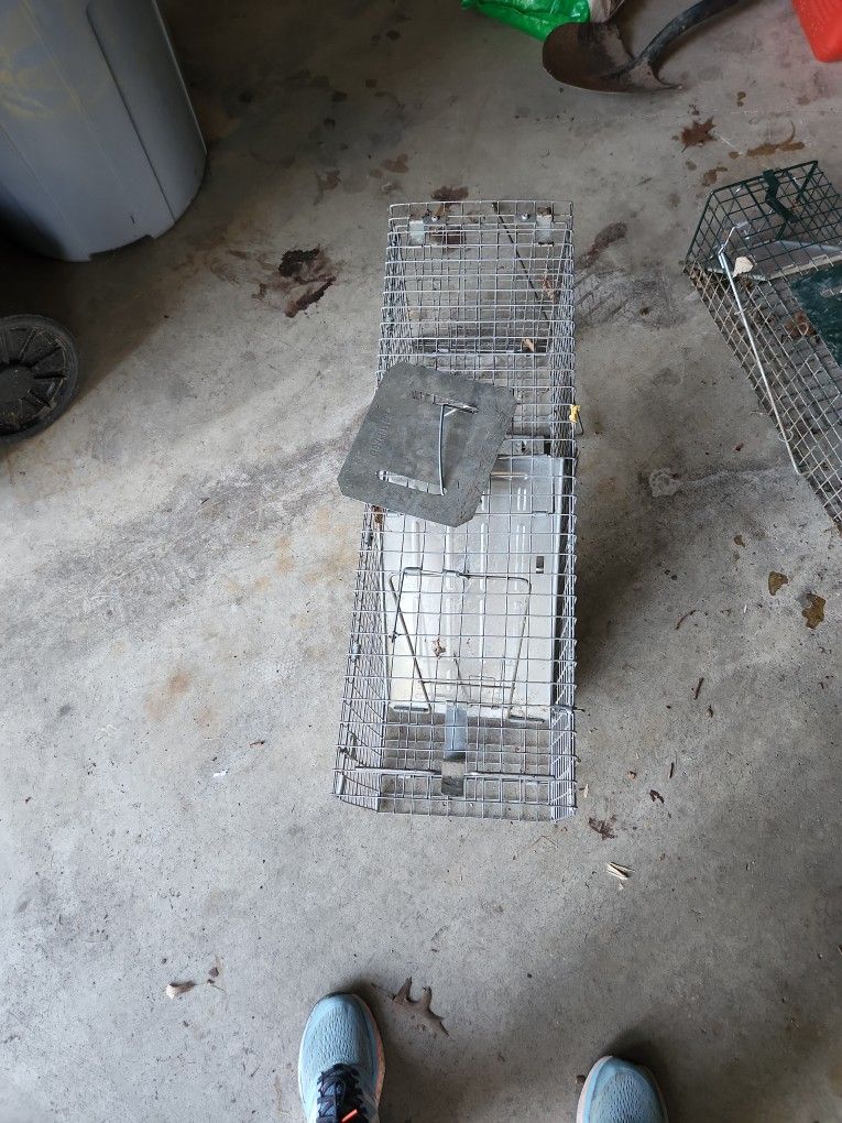 Large Animal Cage..raccoon, Cat