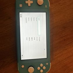 Nintendo Switch Lite Works Perfect 