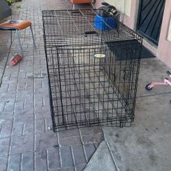 Dog Cage /kennel