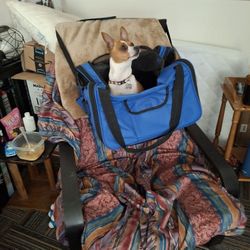 Dog Carrier /In Car Carrier    ( seatbelt )
