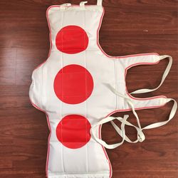 Teakwondo Gears