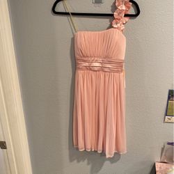 Light Pink Chiffon Dress Size Small