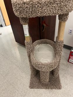 Cat Furniture