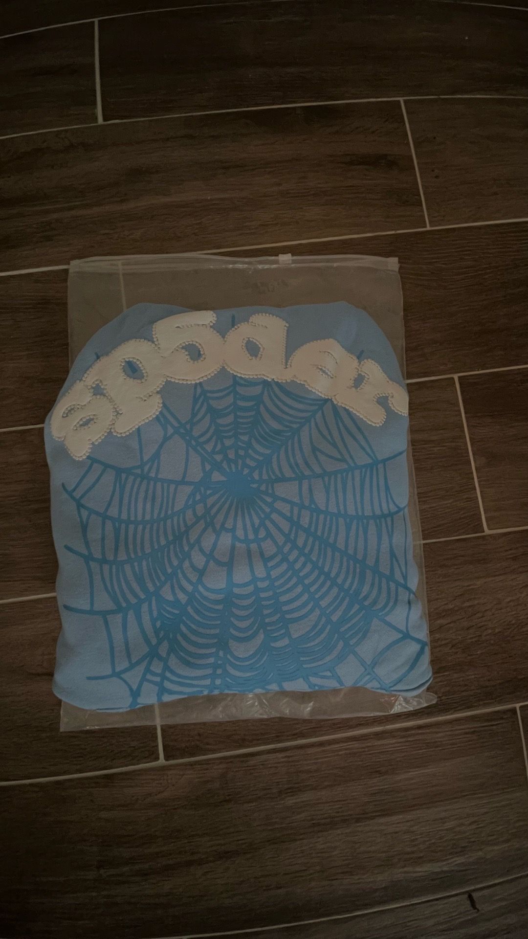 sp5der hoodie (pickups only)