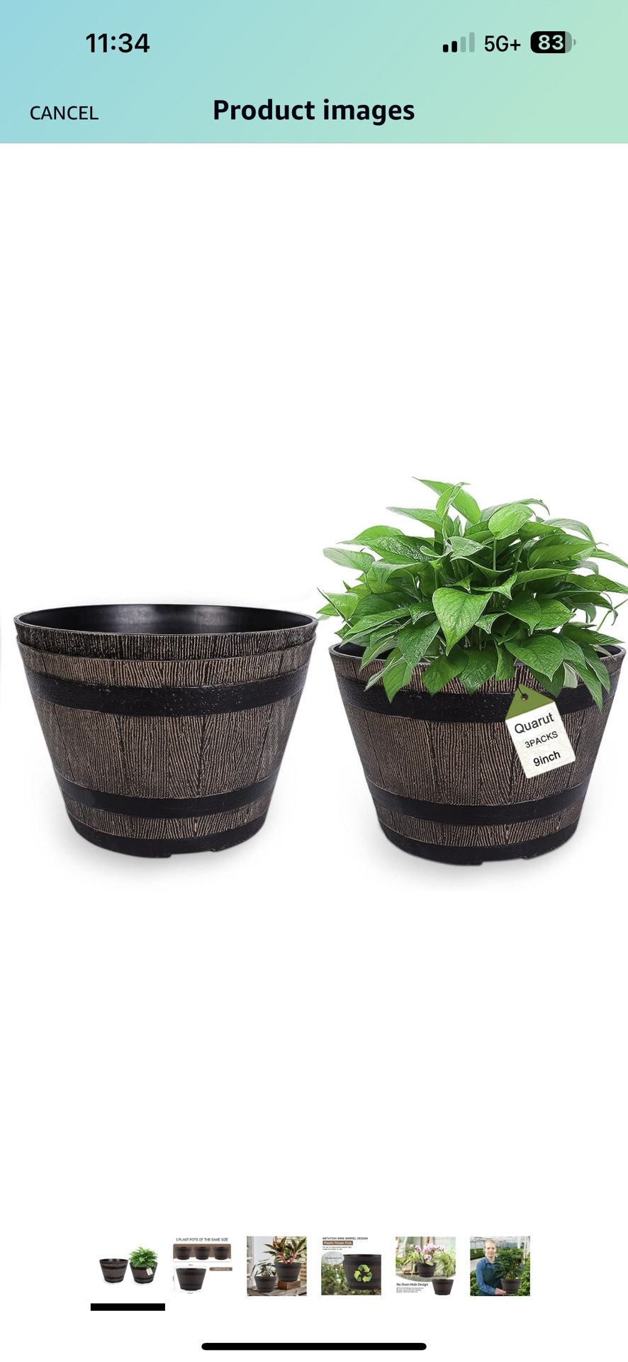 Plants Pot Set