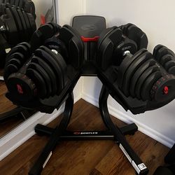 Bowflex 1090 dumbells and rack