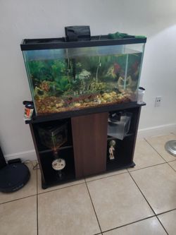 Pecera 30 galones con mueble incluido