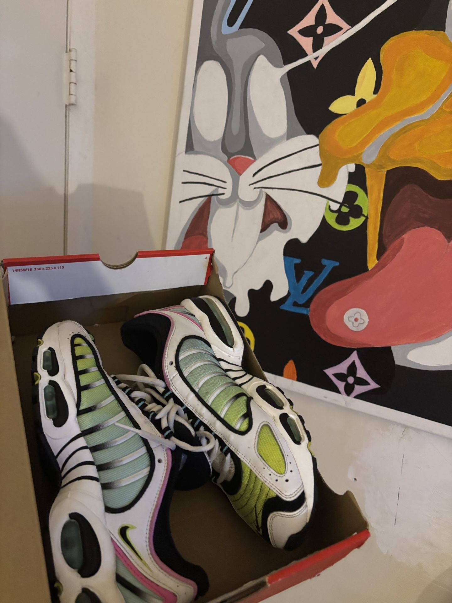 Nike Air Maxes Size 9