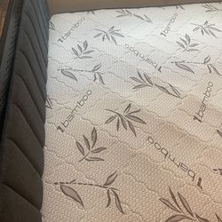 Queen Mattress.. Never Used In Guest Bed Room 