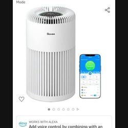 Govee Air Filter