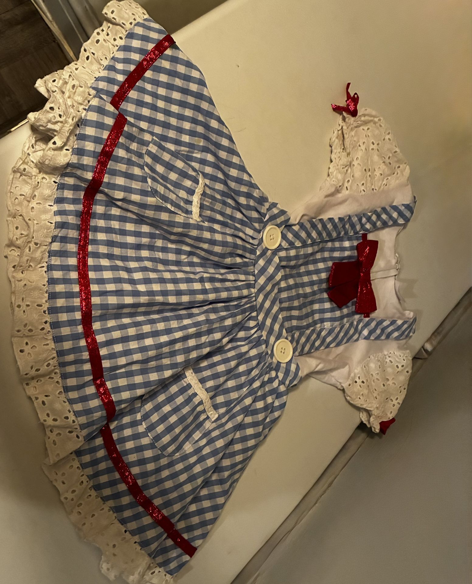 Dorothy Costume 