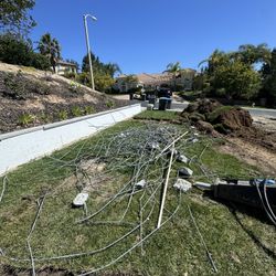 Free Metal First Come First Serve