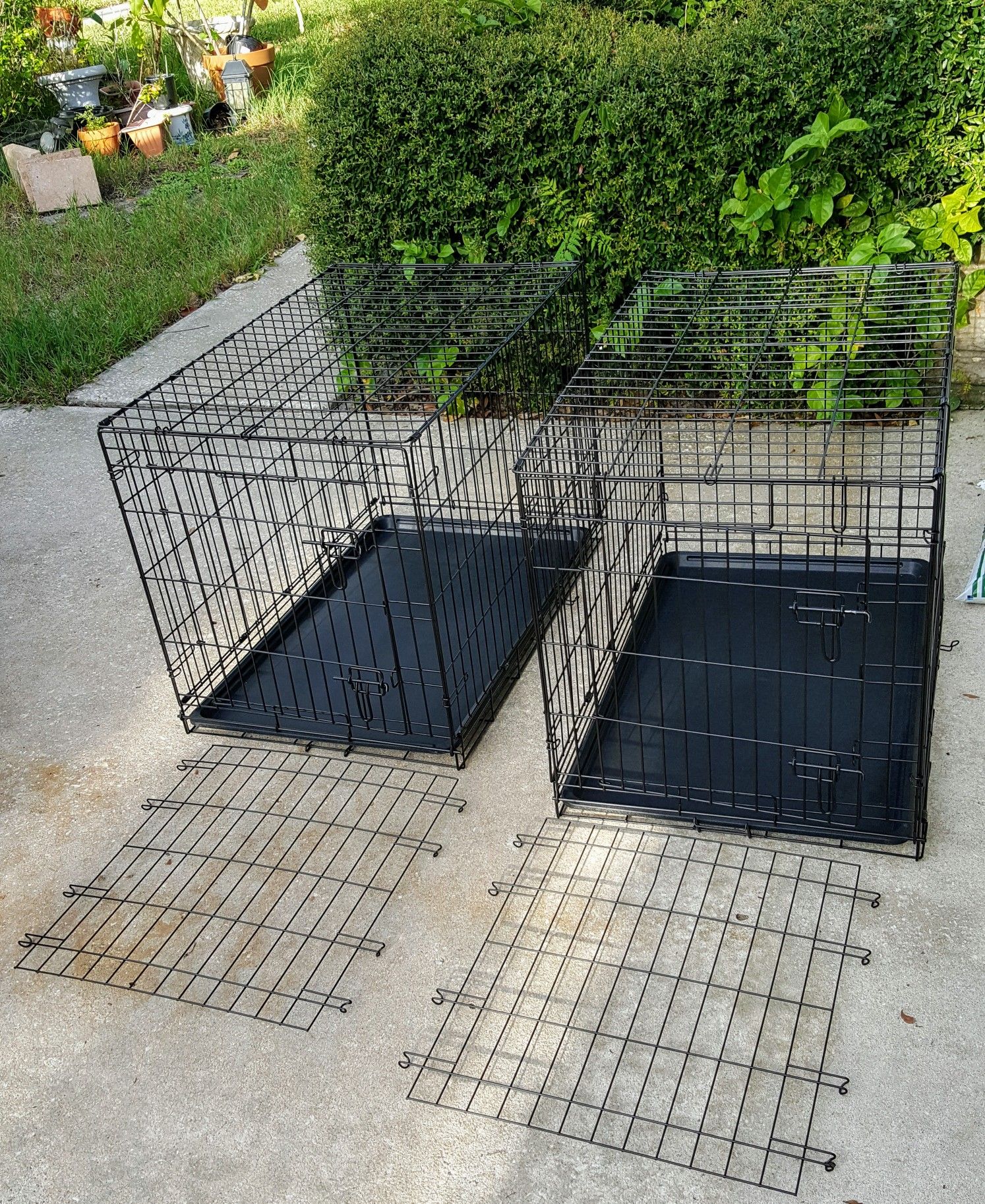 Collapsible Metal 🐕 dog 🐶 Crates w/ liner , divider $49 each see details