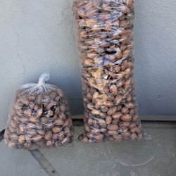 P E C A N S - Nueces