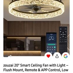 Brand New Ceiling Fan OBO