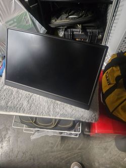 Portable monitor