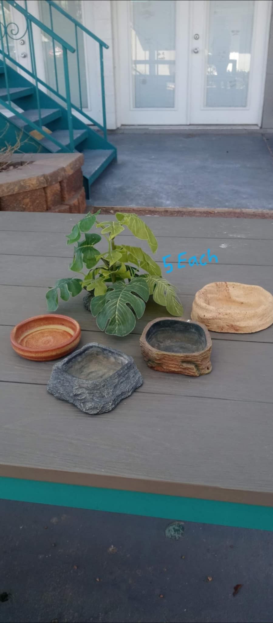 Reptile Supplies $5 Each Rainbow / Charleston Cash Or Zelle Pick Up Between 1:00-5:30 Read Description