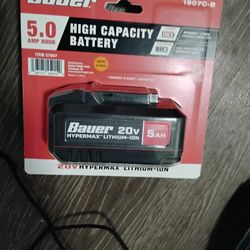 5.0 Amp Hour 20v Battery 