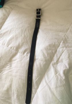 Medium size dog colar