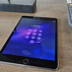 Ipad Mini 4 Excellent Condition 175 ObO