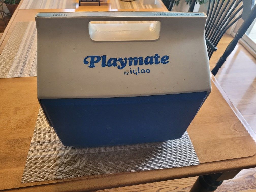 Large Playmate cooler