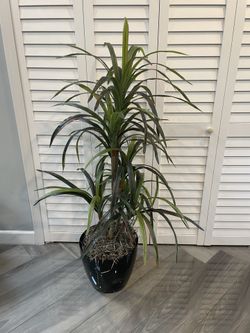 Artificial plant