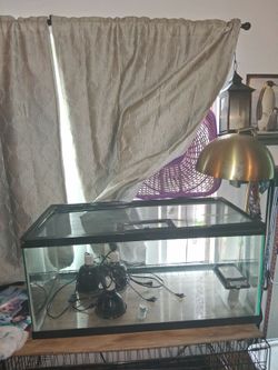Terrarium