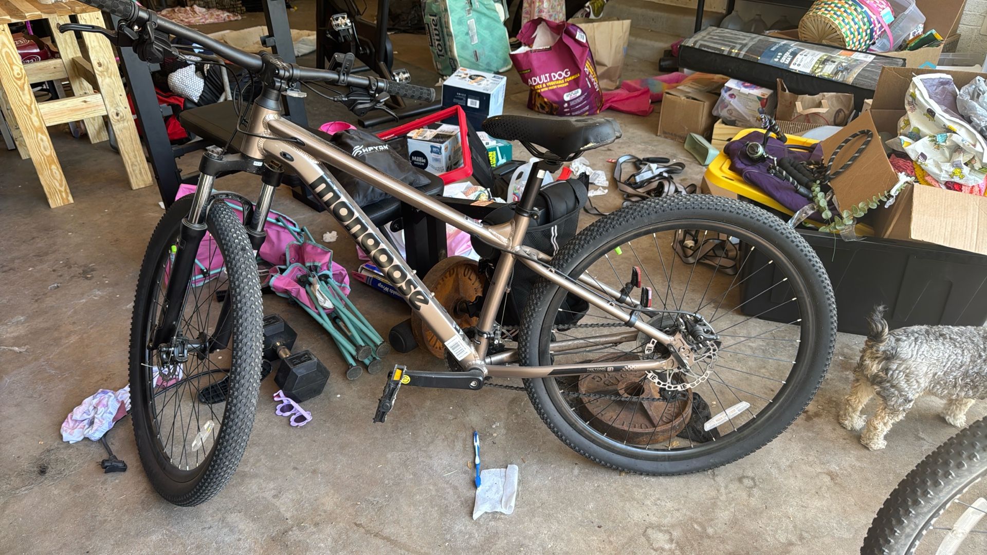 Men’s Mongoose Bike