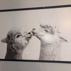 Framed Alpaca Wall Art – Neutral Farmhouse Decor