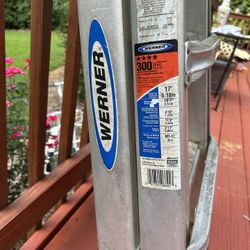 Werner Telescoping Multi-Ladder