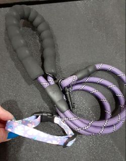 Collar & Leash Set
