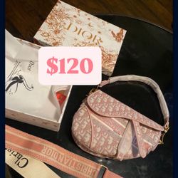 Dior Saddle Bags 