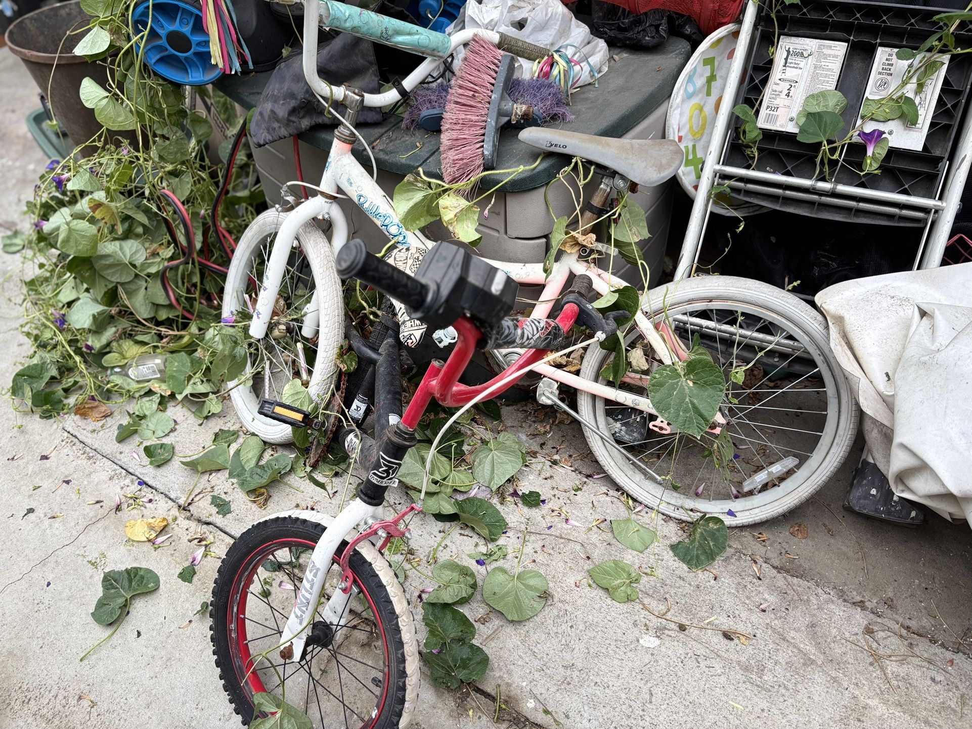 Bikes