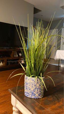 Plant decor